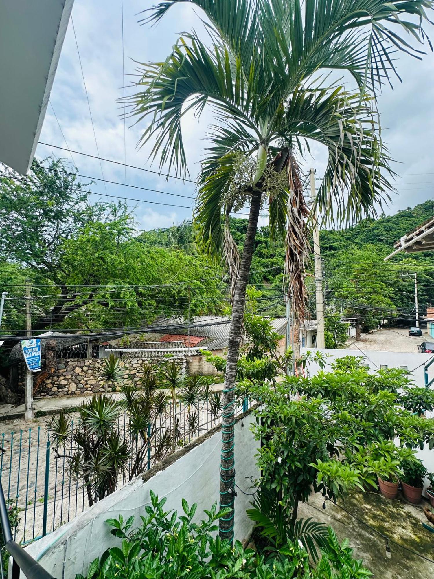Ferienwohnung Loft Rio Puerto Vallarta Exterior foto